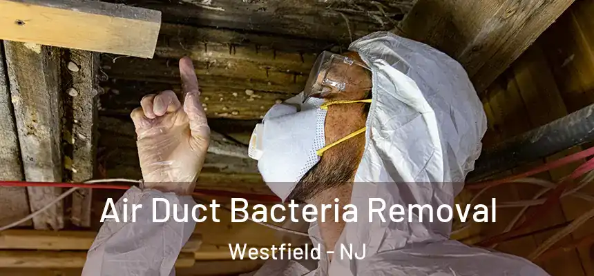Air Duct Bacteria Removal Westfield - NJ