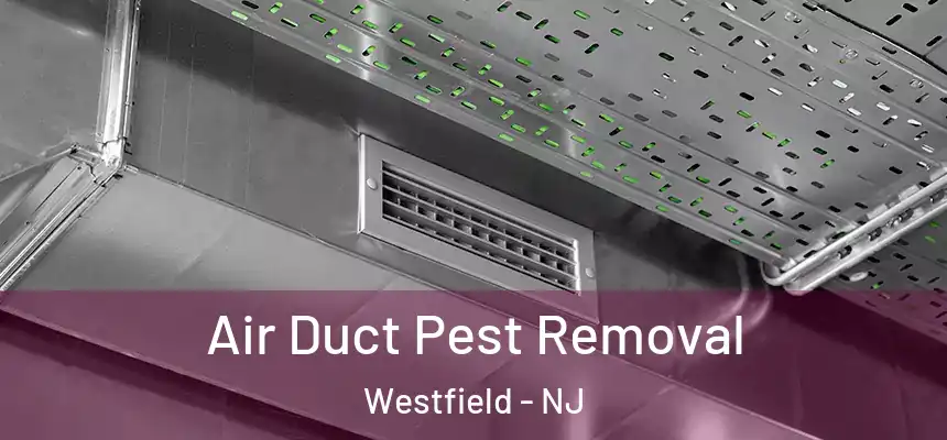 Air Duct Pest Removal Westfield - NJ