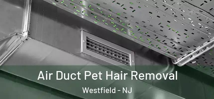 Air Duct Pet Hair Removal Westfield - NJ
