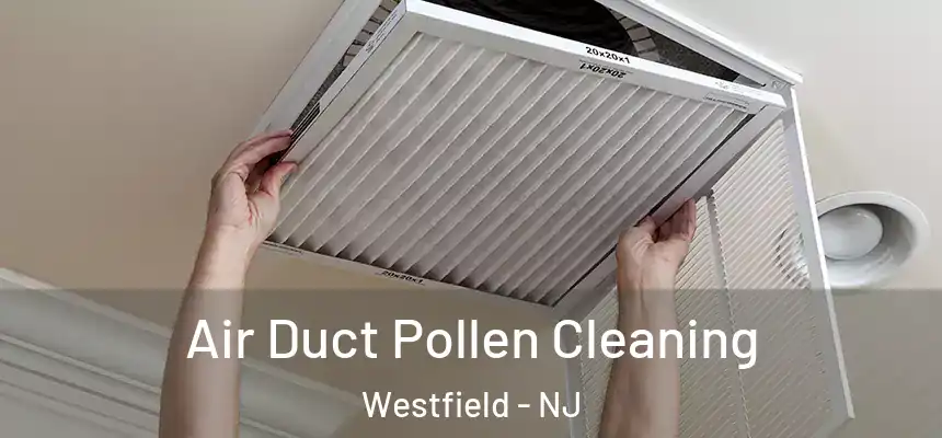  Air Duct Pollen Cleaning Westfield - NJ