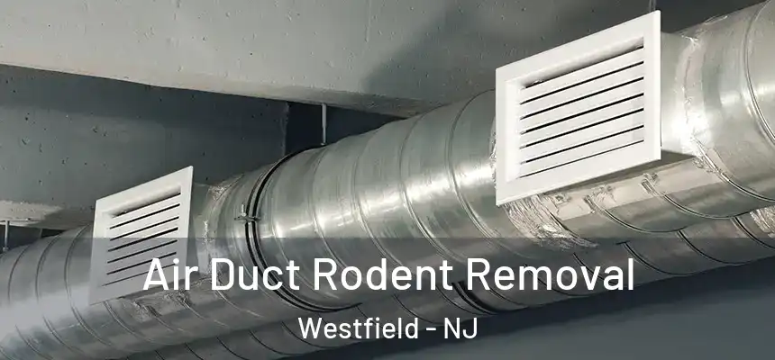  Air Duct Rodent Removal Westfield - NJ