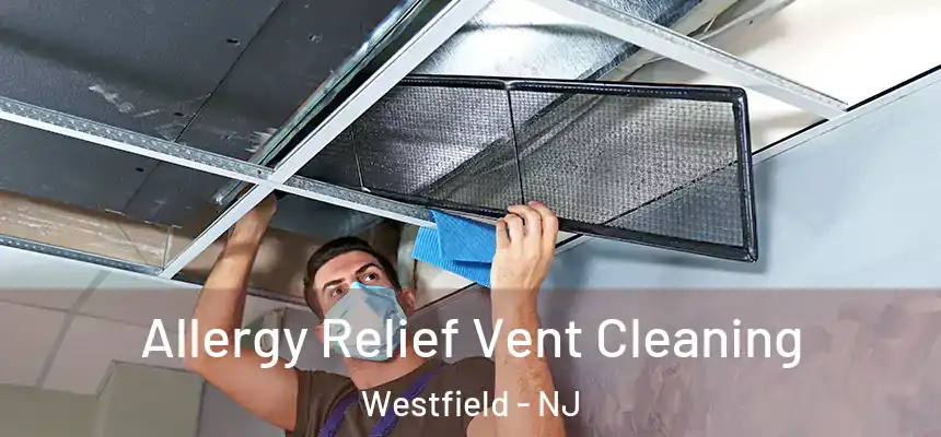  Allergy Relief Vent Cleaning Westfield - NJ