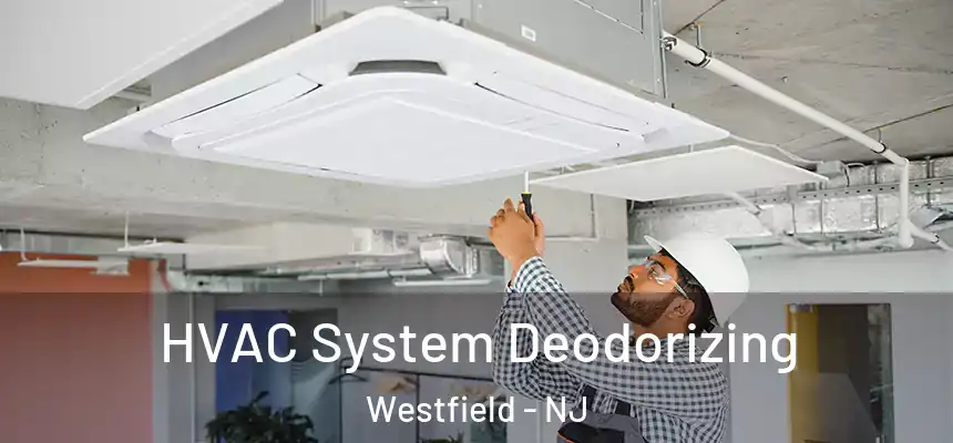  HVAC System Deodorizing Westfield - NJ