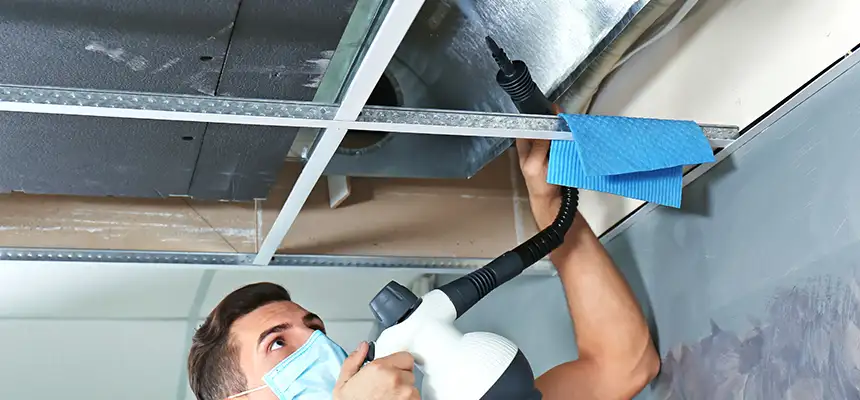 Our Air Duct Rodent Removal Services in Westfield, NJ
