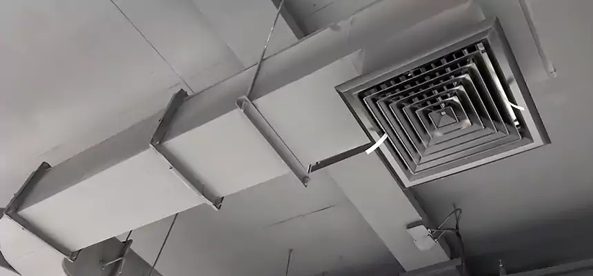 Restorative Allergy Relief Vent Cleaning – Coil, Blower & Housing Detail in Westfield