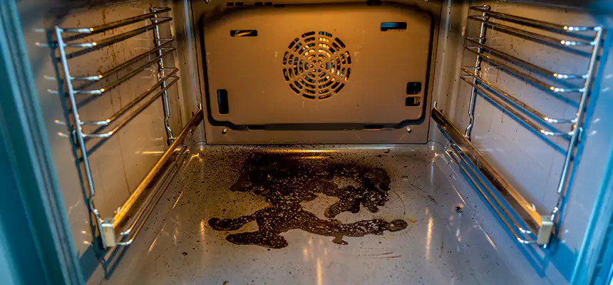 Our Dryer Vent Mold Cleaning Services in Westfield, NJ