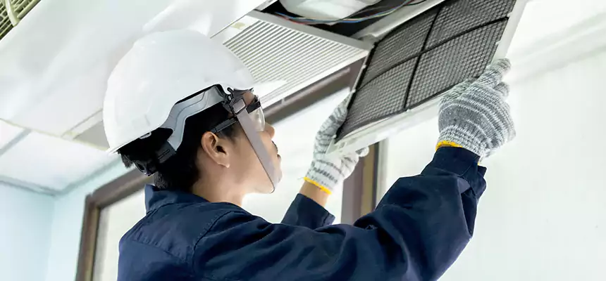 Our Mold & Mildew Removal from Air Ducts Services in Westfield, NJ