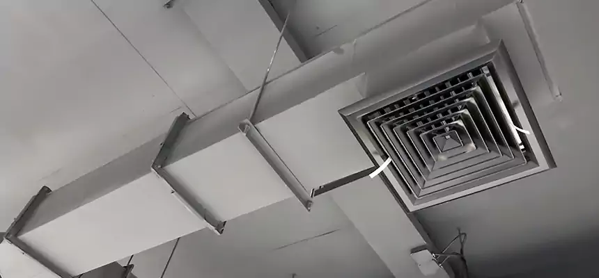 Our Rodent Droppings In Vents Services in Westfield, NJ