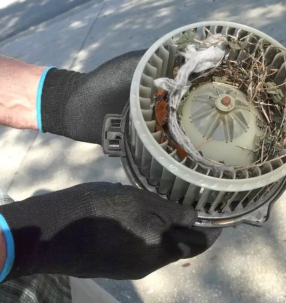 About Air Duct Mice Removal in Westfield, NJ