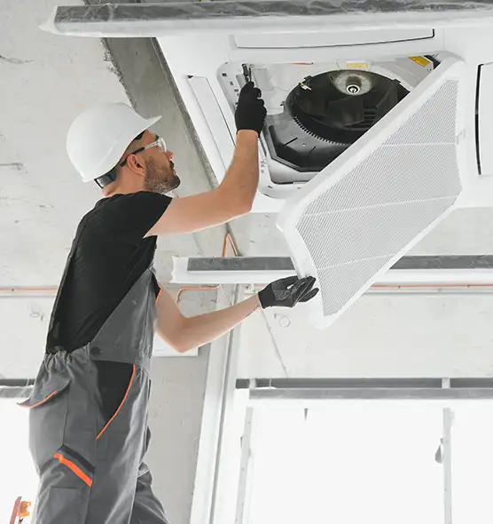 About Air Duct Rodent Removal in Westfield, NJ